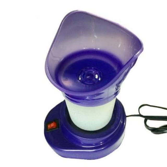 Electric Shinon Faical Steamer